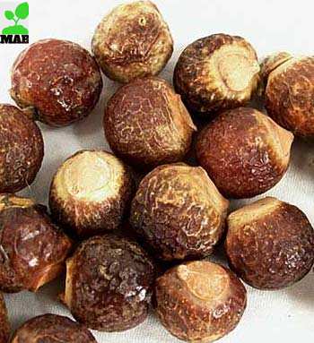 SOAP NUTS WHOLE